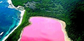 Lago rosa in Australia