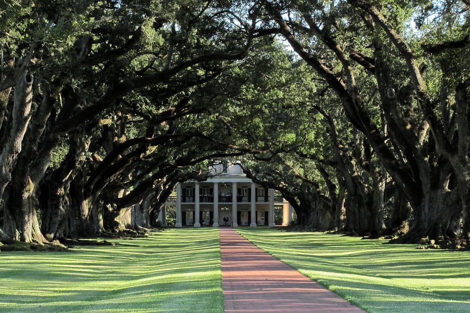 Oak Alley (Alabama)