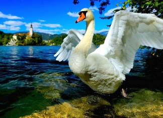 Lago di Bled, in Slovenia