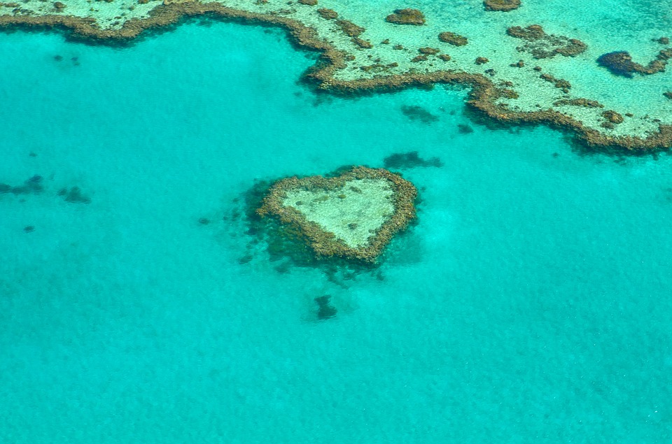 Heart Reef